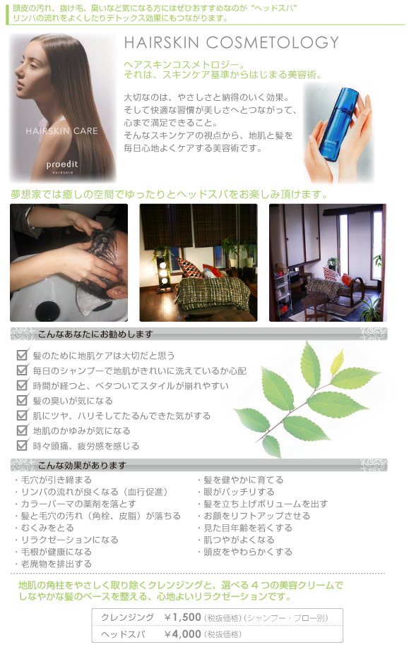 ���z�Ƃł́A�����̋�Ԃł������ƃw�b�h�X�p�����y���ݒ����܂�